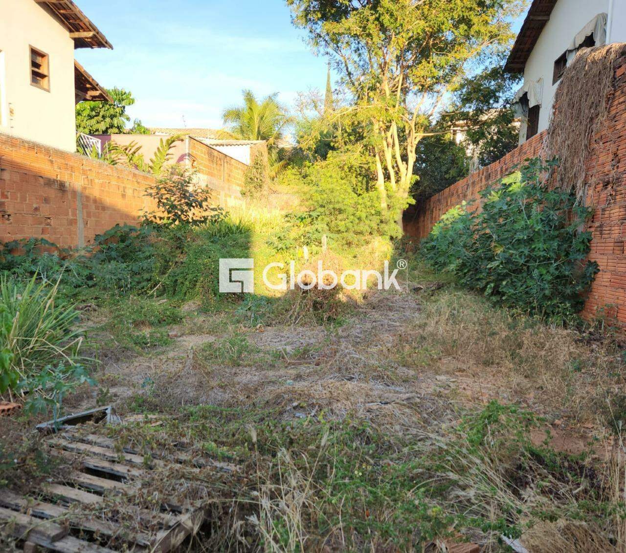 Terreno à venda Todos os Santos 300m² Montes Claros MG: 