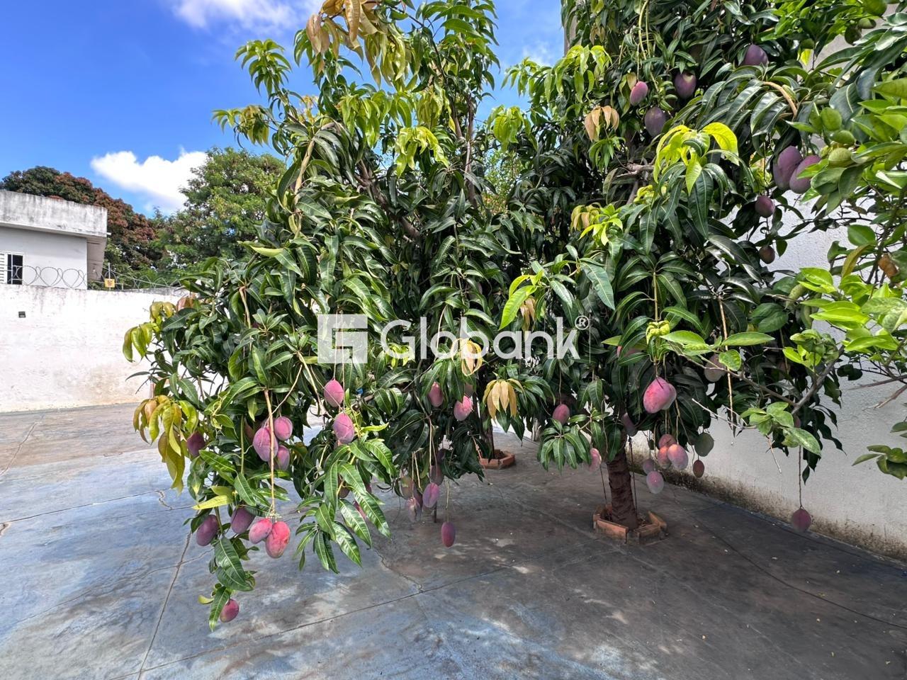 Casa 3 quartos à venda Roxo Verde 200m² Montes Claros MG: 