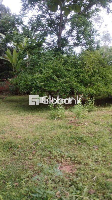 Sítio 3 quartos à venda Área Rural de Montes Claros 1.080m² Montes Claros MG: 