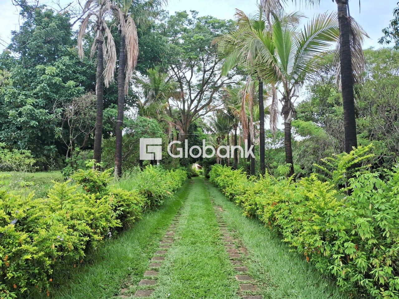 Chácara 4 quartos à venda Área Rural de Montes Claros 1.000m² Montes Claros MG: 
