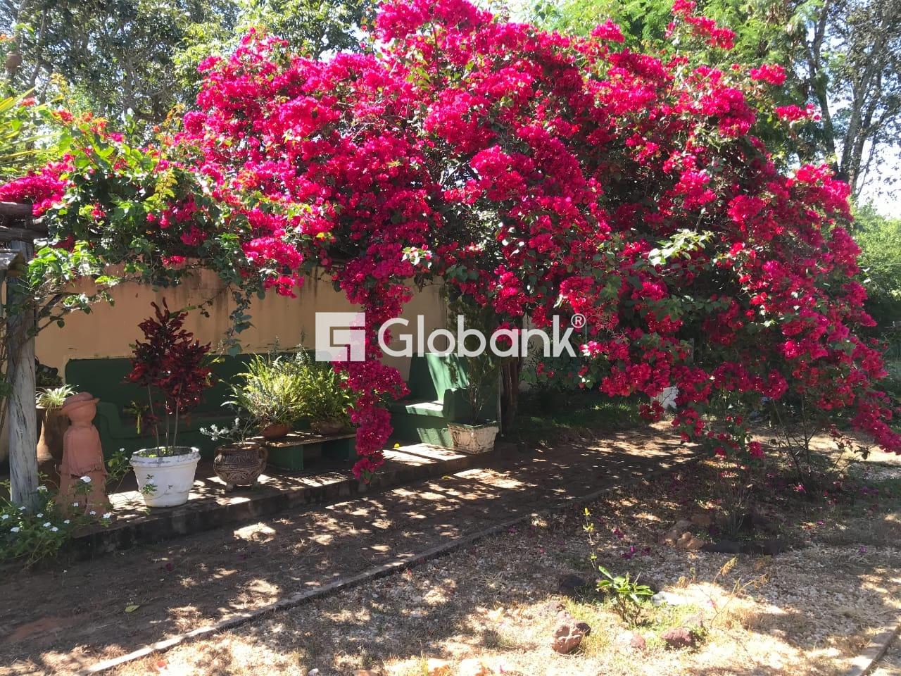 Chácara 4 quartos à venda Área Rural de Montes Claros 1.000m² Montes Claros MG: 