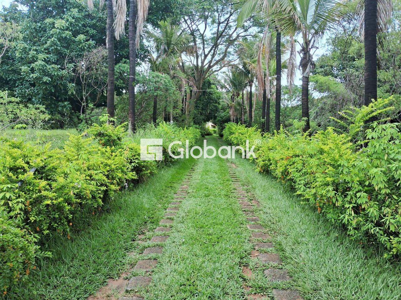 Chácara 4 quartos à venda Área Rural de Montes Claros 1.000m² Montes Claros MG: 