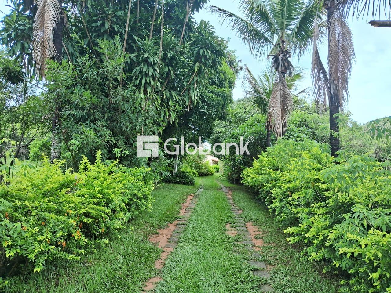 Chácara 4 quartos à venda Área Rural de Montes Claros 1.000m² Montes Claros MG: 