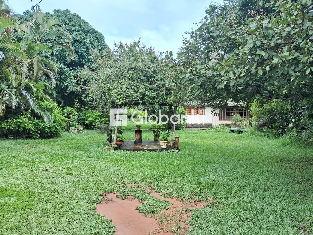 Chácara 4 quartos à venda Área Rural de Montes Claros 1.000m² Montes Claros MG: 