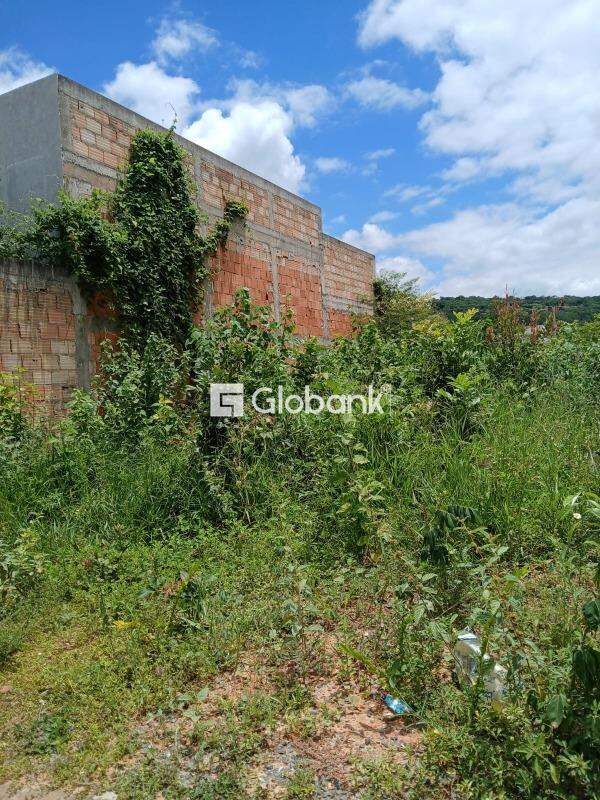 Terreno à venda Ibituruna 320m² Montes Claros MG: 