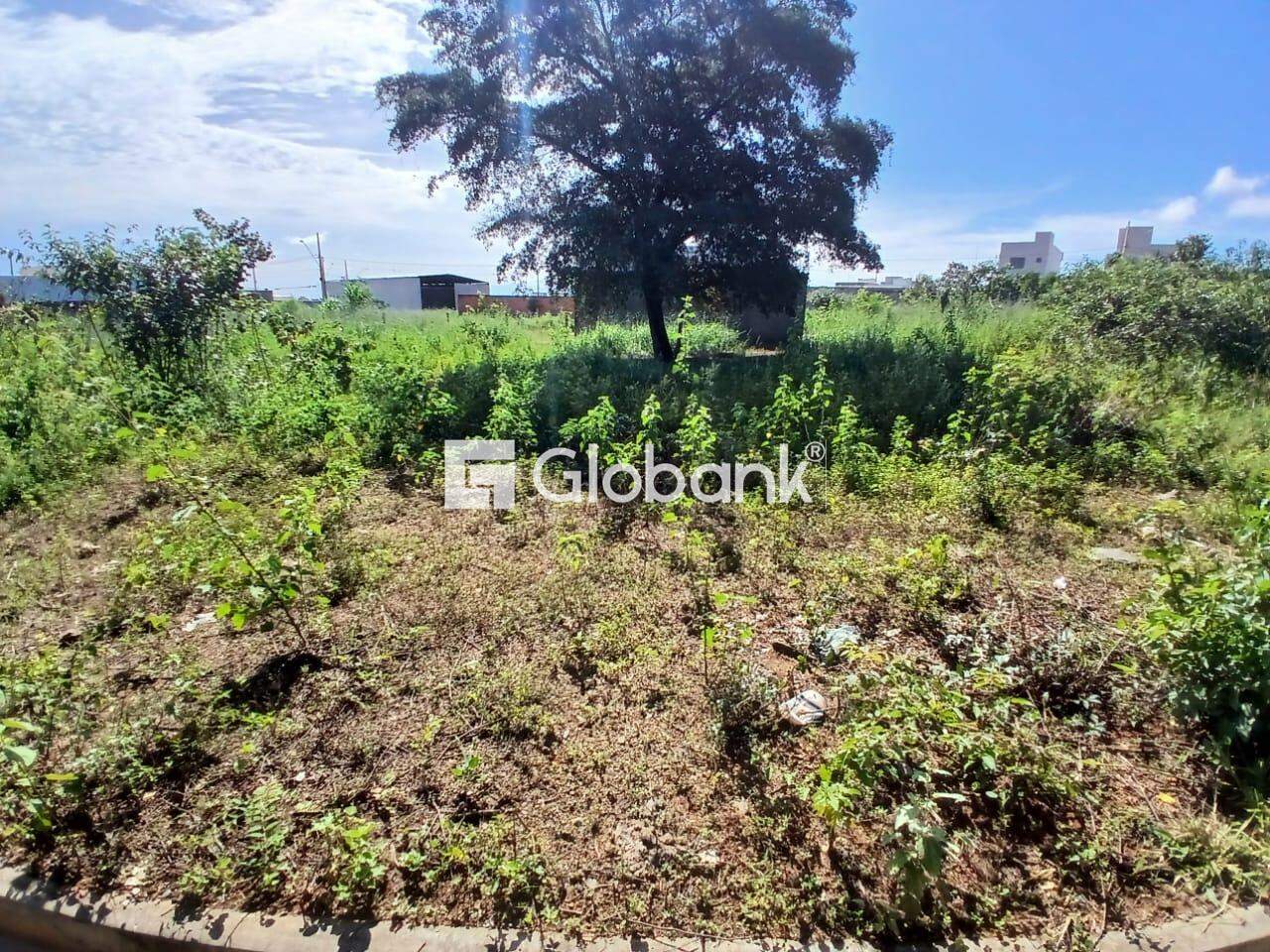 Terreno à venda Monte Belo 250m² Montes Claros MG: 