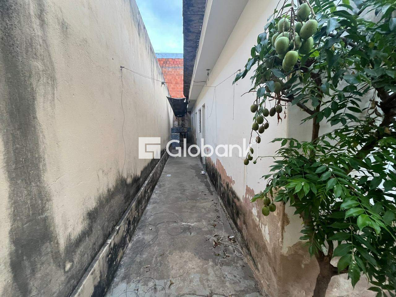 Casa 2 quartos à venda Novo Delfino 120m² Montes Claros MG: