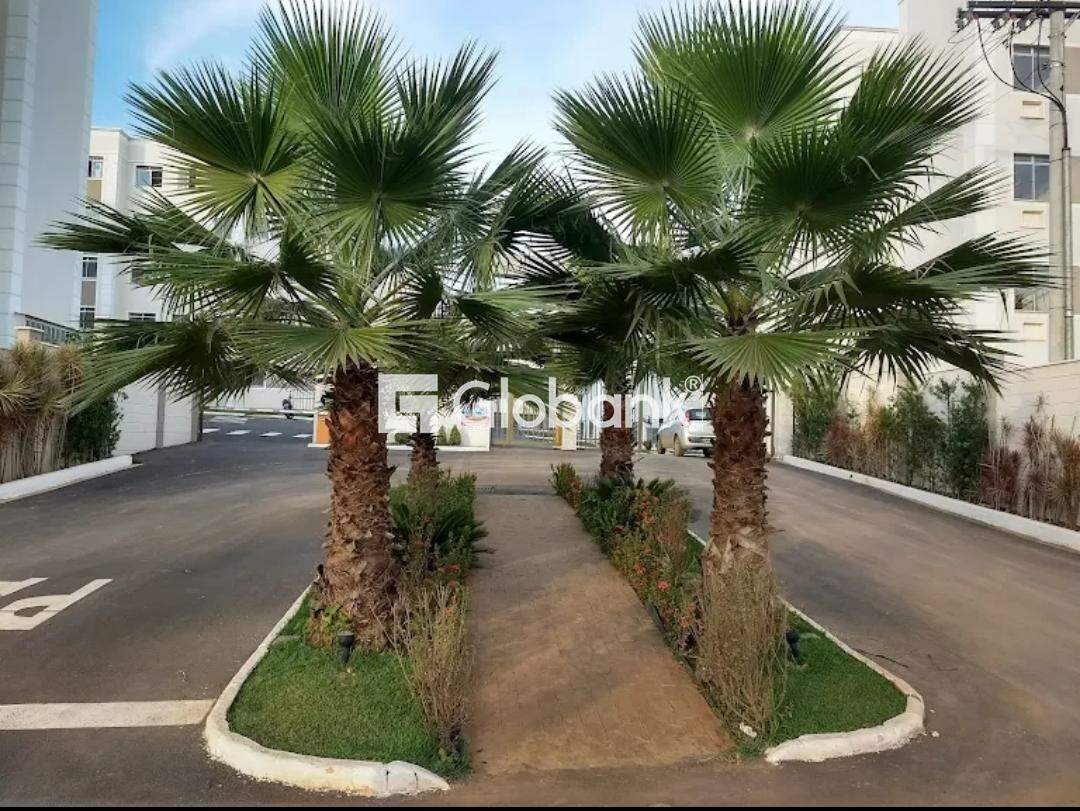 Apartamento à venda Belvedere 50m² Montes Claros MG: 