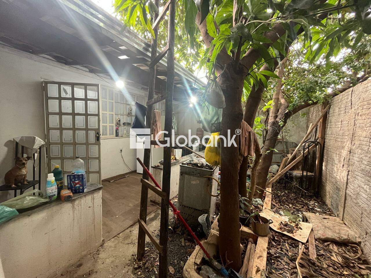 Casa 5 quartos à venda Jardim Primavera 270m² Montes Claros MG: 