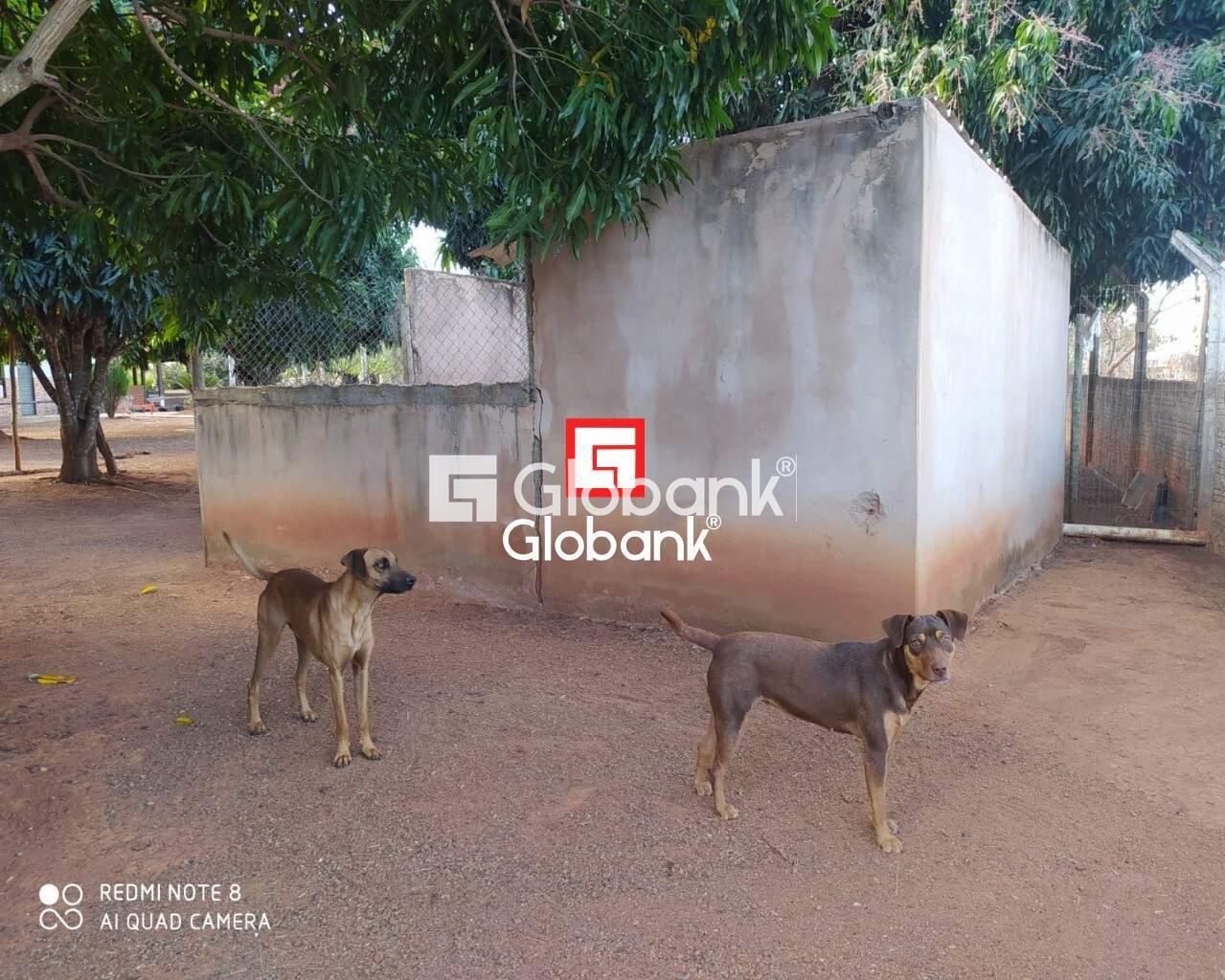 Chácara 3 quartos à venda Área Rural de Montes Claros 0m² Montes Claros MG: | Foto_migracao | 21