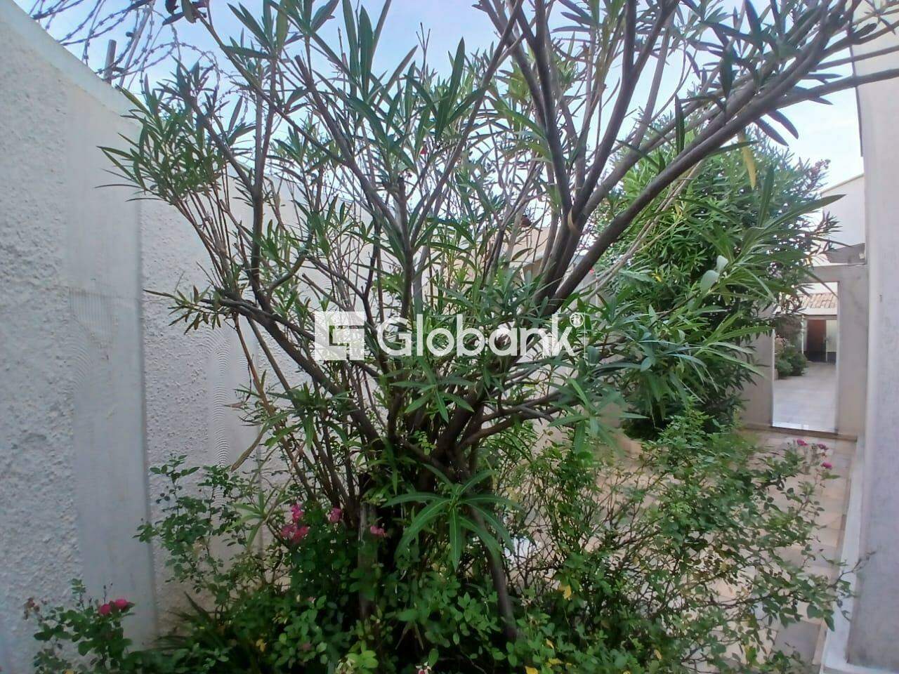 Casa 3 quartos à venda Todos os Santos 200m² Montes Claros MG: