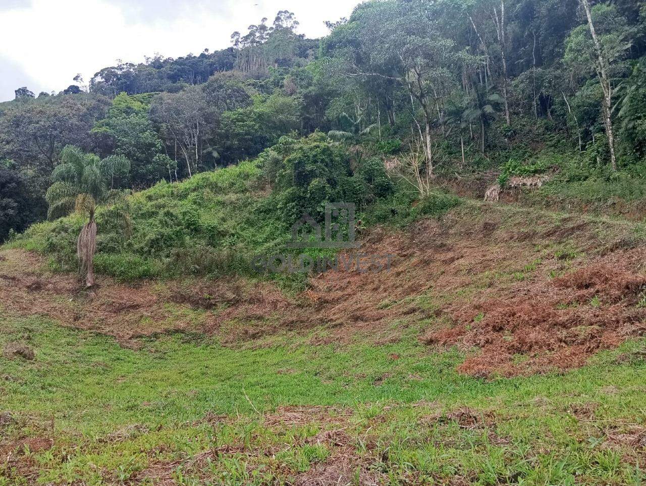 Terreno à venda no Areia alta: 