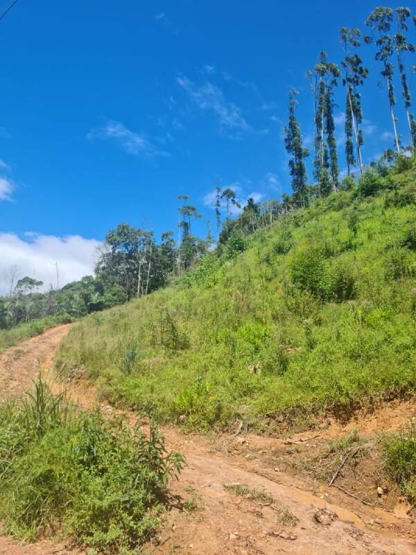 Lote/Terreno de 43230m² no bairro Lageado Alto, em Guabiruba | Eu Corretor