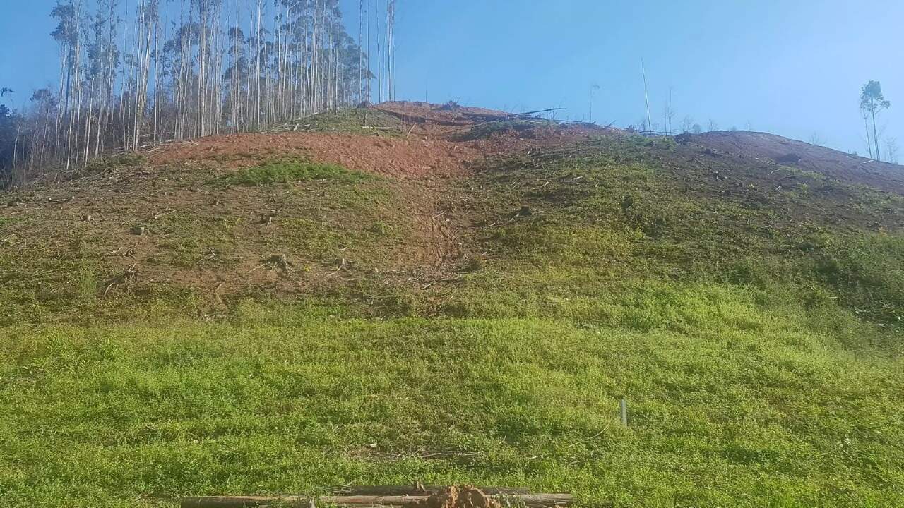 Lote/Terreno de 43230m² no bairro Lageado Alto, em Guabiruba | Eu Corretor