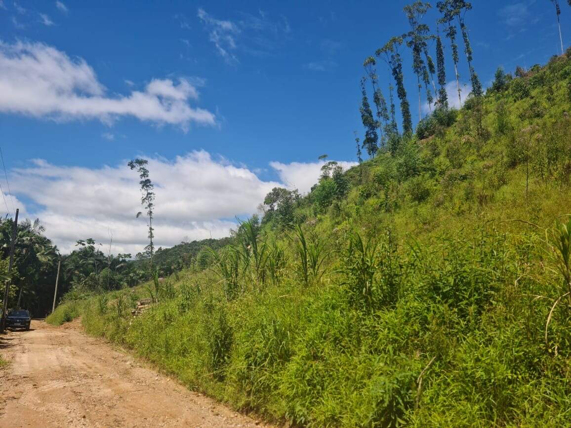 Lote/Terreno de 43230m² no bairro Lageado Alto, em Guabiruba | Eu Corretor