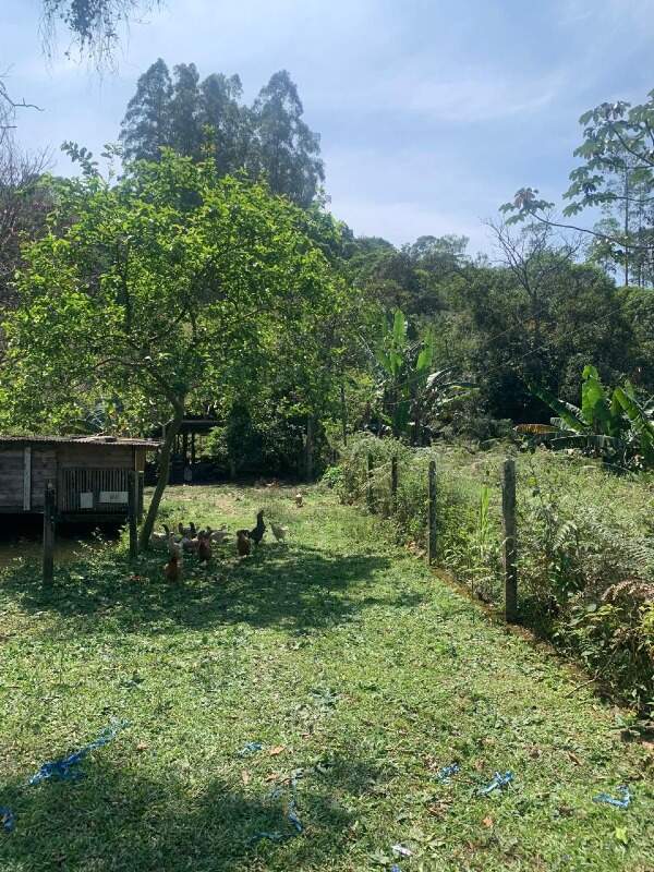 Sítio à venda no Limeira Alta: 