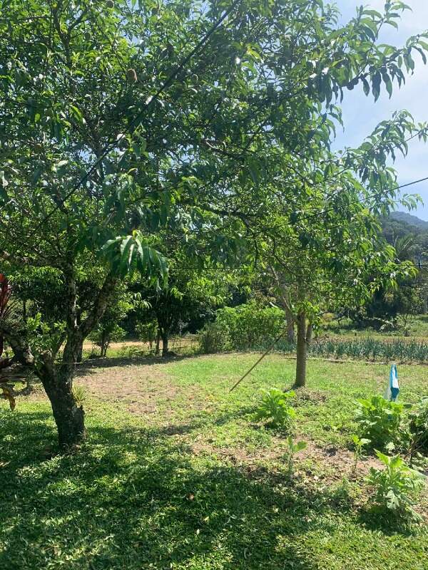 Sítio à venda no Limeira Alta: 