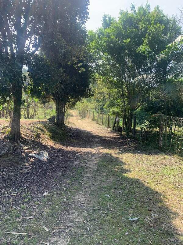 Sítio à venda no Limeira Alta: 