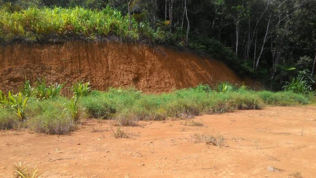 Lote/Terreno de 6909m² no bairro lageado baixo, em Guabiruba | Eu Corretor