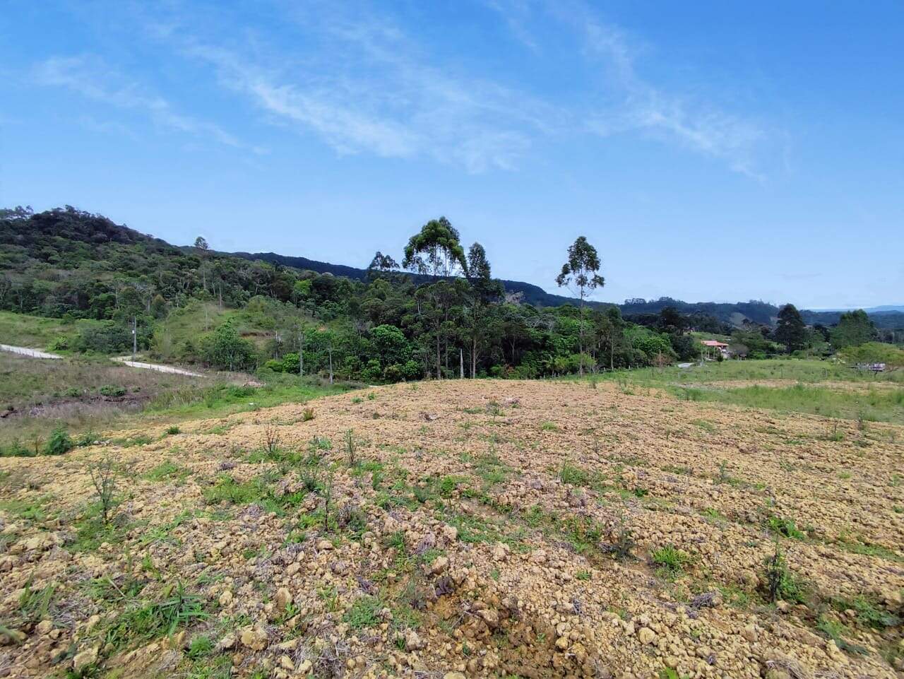 Lote/Terreno de 14560m² no bairro Chapadão Figueira, em Botuverá | Eu Corretor