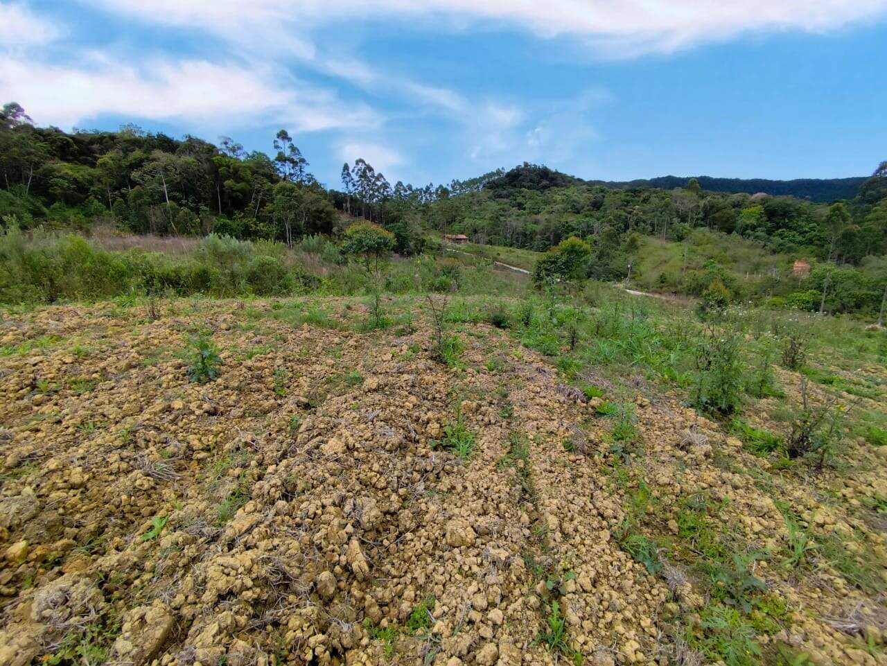 Lote/Terreno de 14560m² no bairro Chapadão Figueira, em Botuverá | Eu Corretor