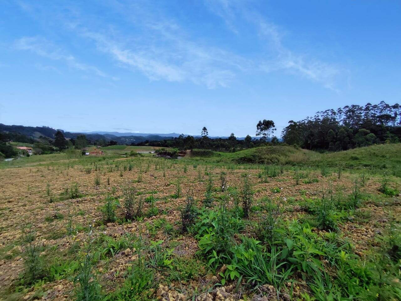 Lote/Terreno de 14560m² no bairro Chapadão Figueira, em Botuverá | Eu Corretor