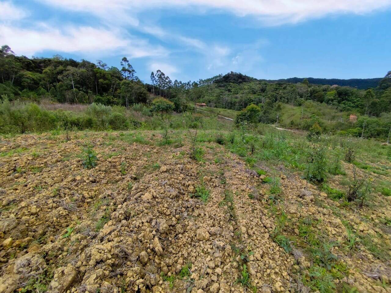 Lote/Terreno de 6000m² no bairro Chapadão Figueira, em Botuverá | Eu Corretor