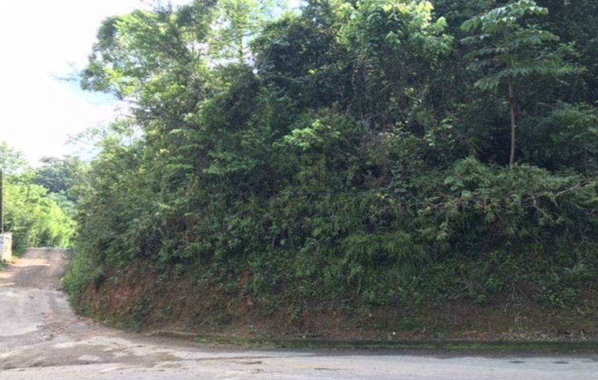 Lote/Terreno de 10072m² no bairro Bateas, em Brusque | Eu Corretor
