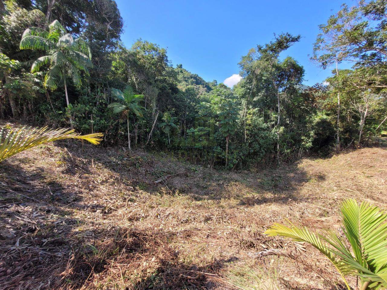 Chácara de 9000m² no bairro São Pedro, em Guabiruba | Eu Corretor