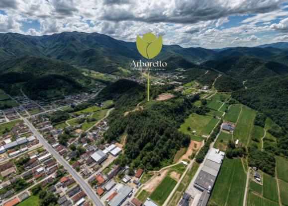 Lote/Terreno de 300m² no bairro Aymoré, em Guabiruba | Eu Corretor