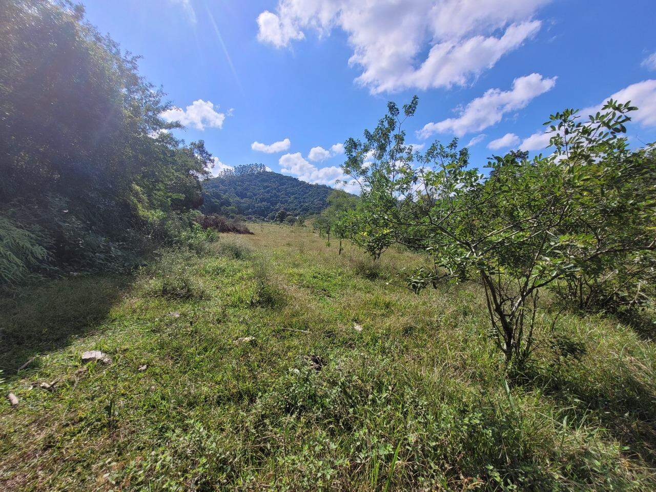 Lote/Terreno de 4400m² no bairro Limeira, em Brusque | Eu Corretor