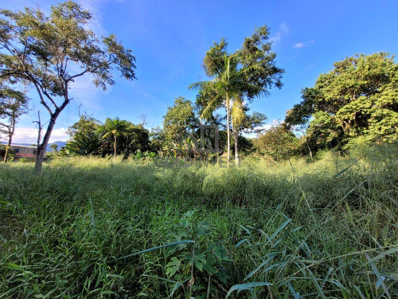 Lote/Terreno de 735m² no bairro São Pedro, em Guabiruba | Eu Corretor