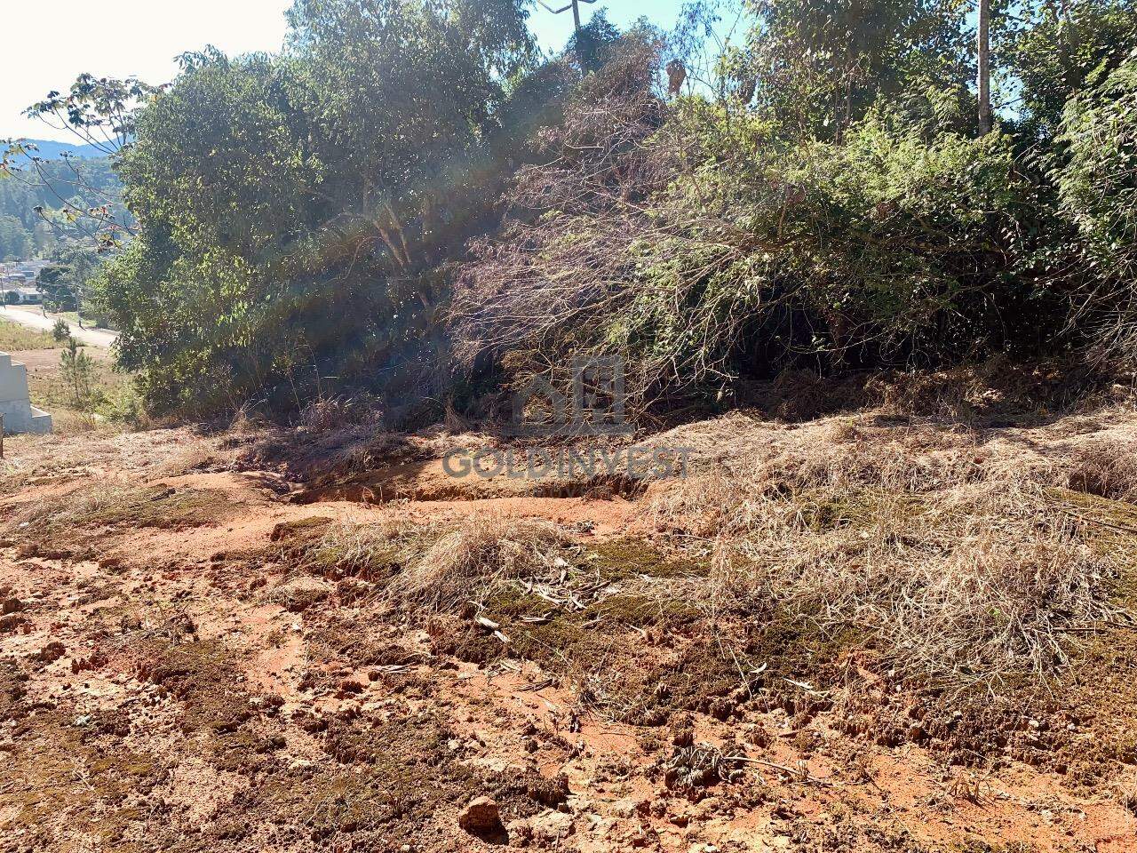 Lote/Terreno de 363m² no bairro Aymoré, em Guabiruba | Eu Corretor