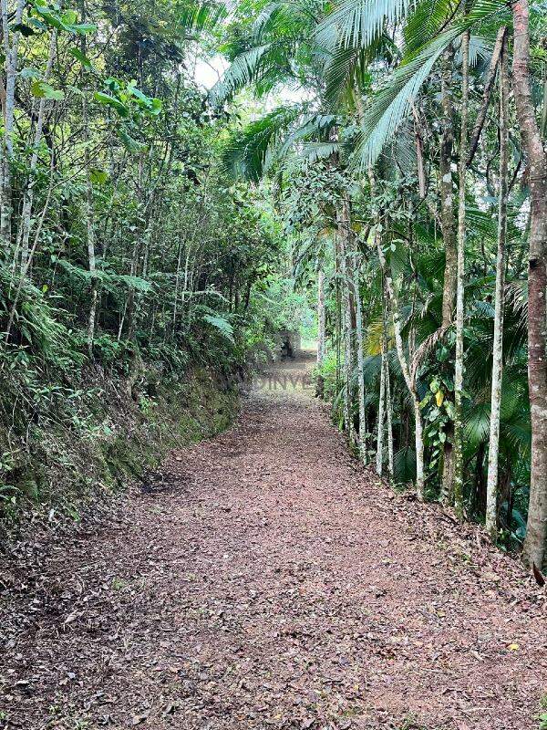 Chácara de 20000m² no bairro Dom Joaquim, em Brusque | Eu Corretor