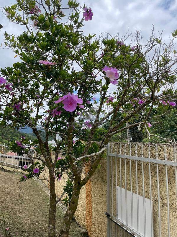 Apartamento de 2 quartos, 70m² no bairro São Pedro, em Brusque | Eu Corretor