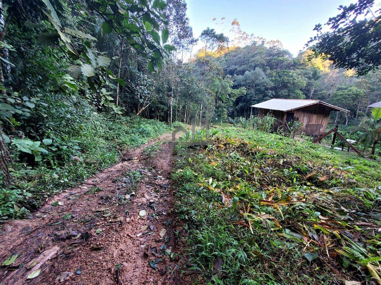 Terreno à venda no Lageado Alto: 