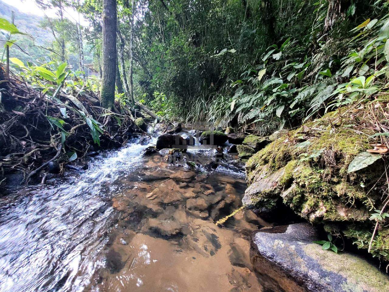 Terreno à venda no Lageado Alto: 