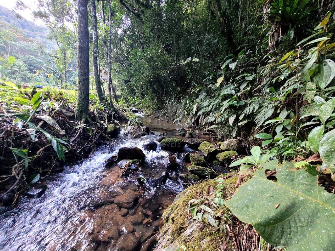 Terreno à venda no Lageado Alto: 