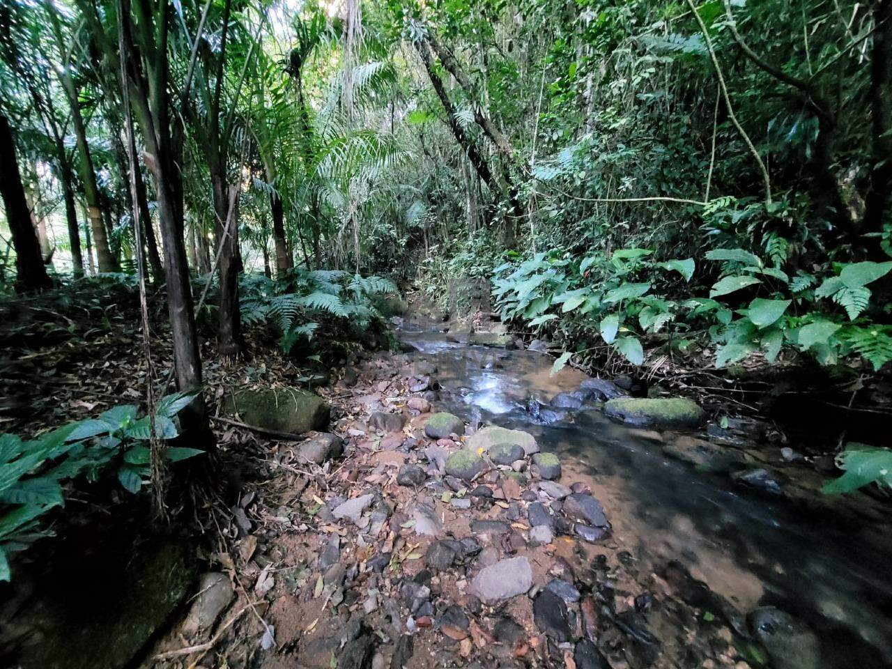 Terreno à venda no Lageado Alto: 