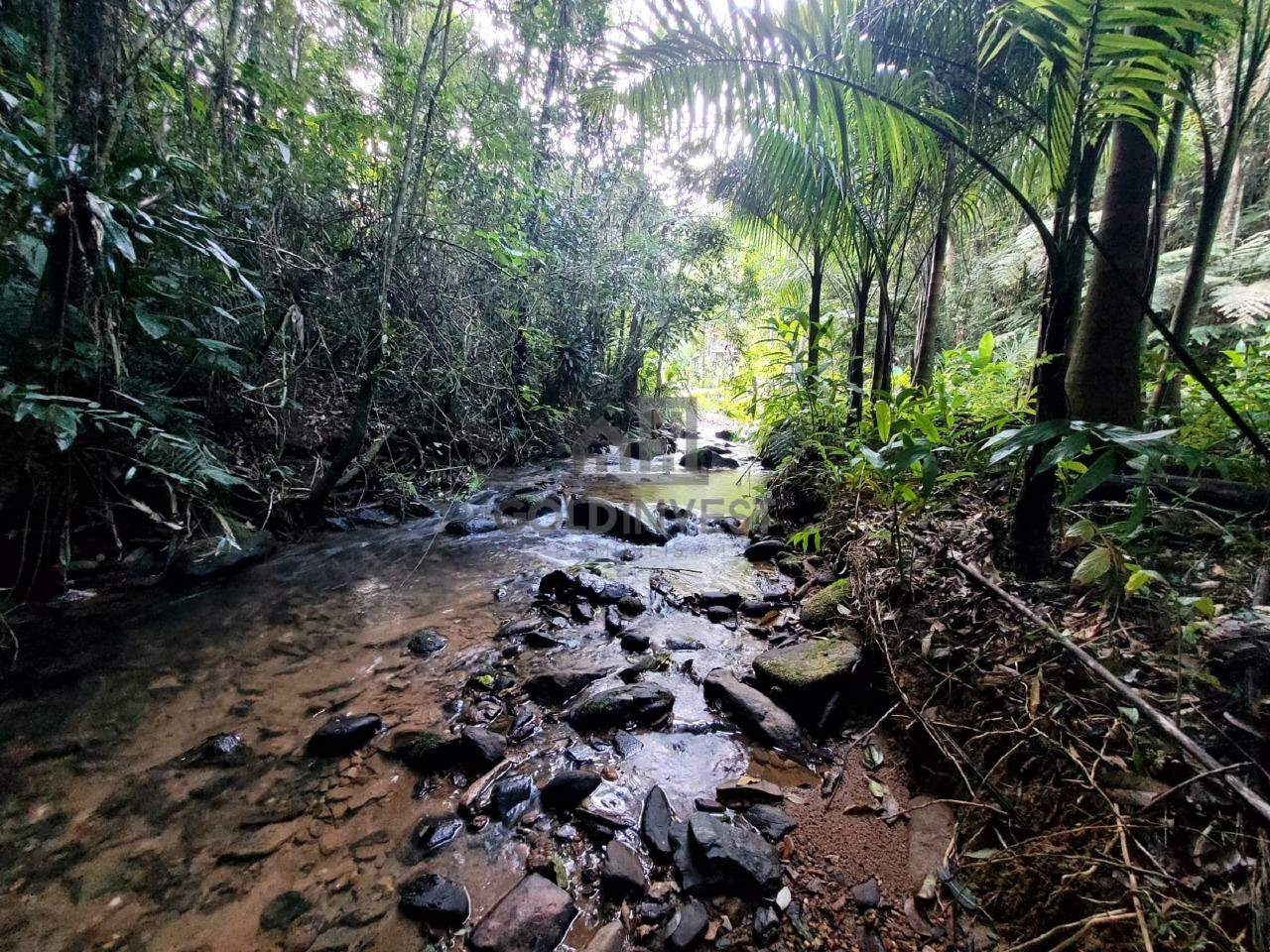 Terreno à venda no Lageado Alto: 