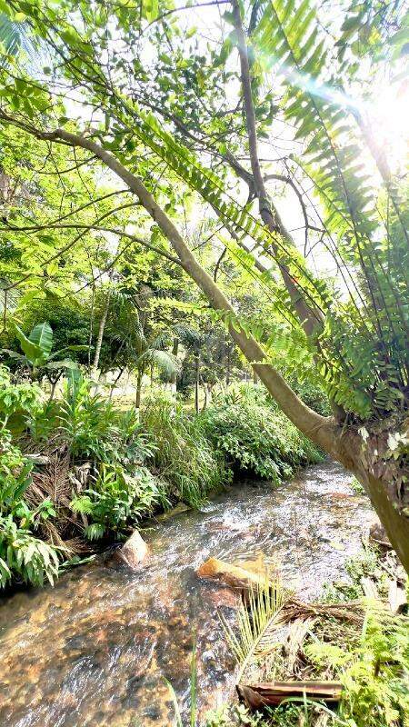 Lote/Terreno de 1925m² no bairro Planície Alta, em Guabiruba | Eu Corretor