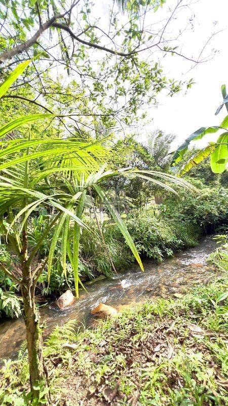 Lote/Terreno de 1925m² no bairro Planície Alta, em Guabiruba | Eu Corretor