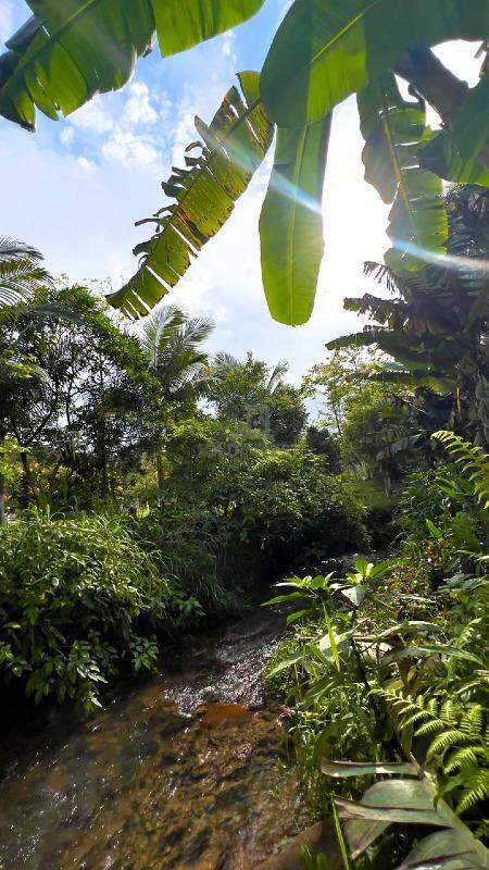 Lote/Terreno de 1925m² no bairro Planície Alta, em Guabiruba | Eu Corretor