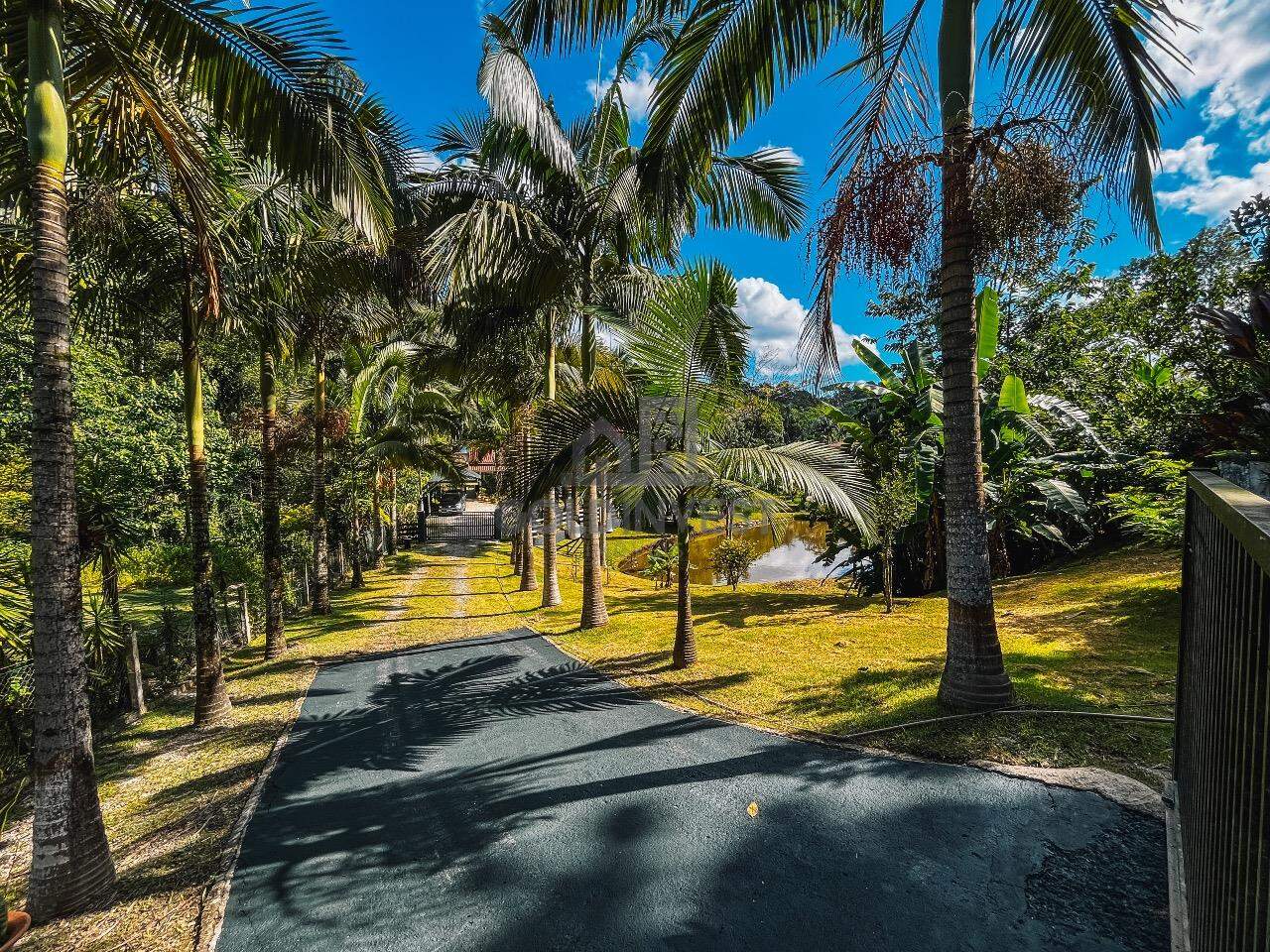 Sítio à venda no São Pedro: 