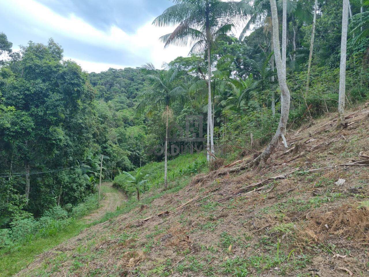 Lote/Terreno de 14997m² no bairro São Pedro, em Brusque | Eu Corretor