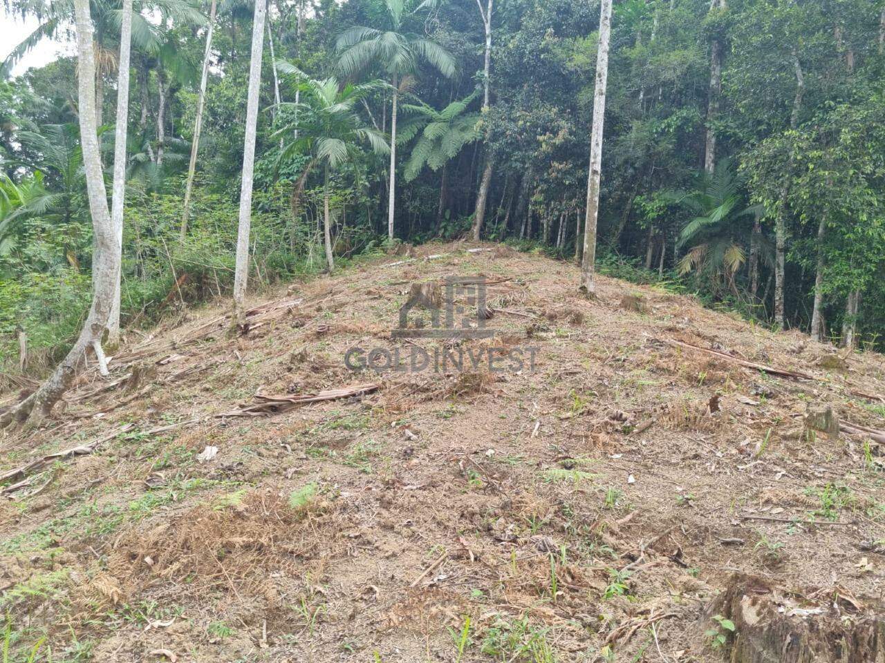 Lote/Terreno de 14997m² no bairro São Pedro, em Brusque | Eu Corretor