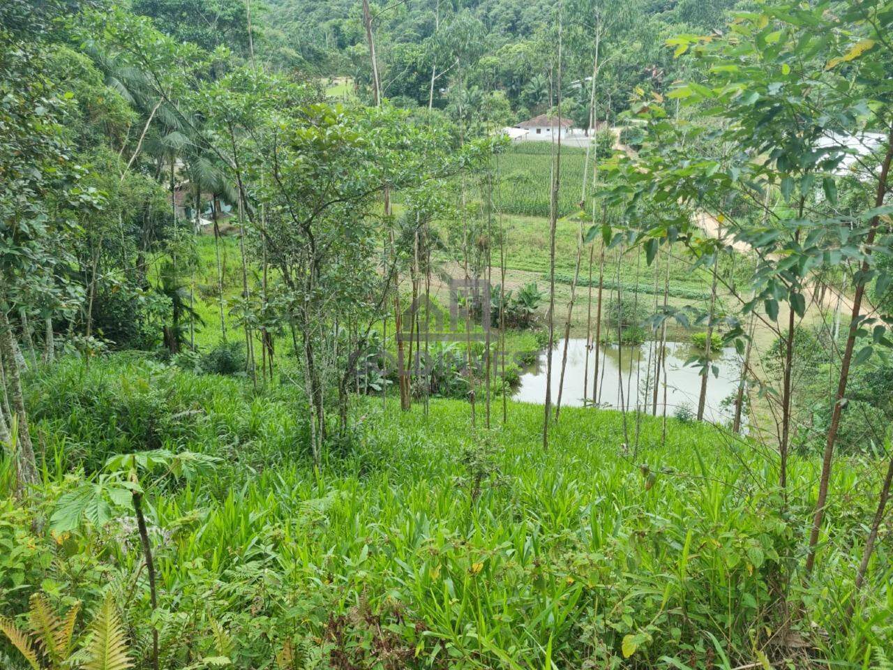 Lote/Terreno de 14997m² no bairro São Pedro, em Brusque | Eu Corretor