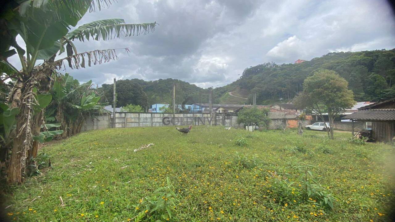 Terreno à venda no imigrantes: 