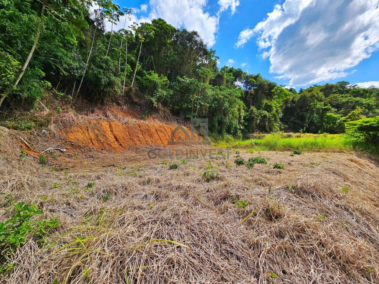 Terreno à venda no Souza Cruz: 