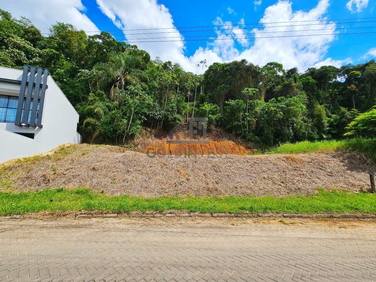 Terreno à venda no Souza Cruz: 